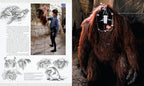 Labyrinth: The Ultimate Visual History